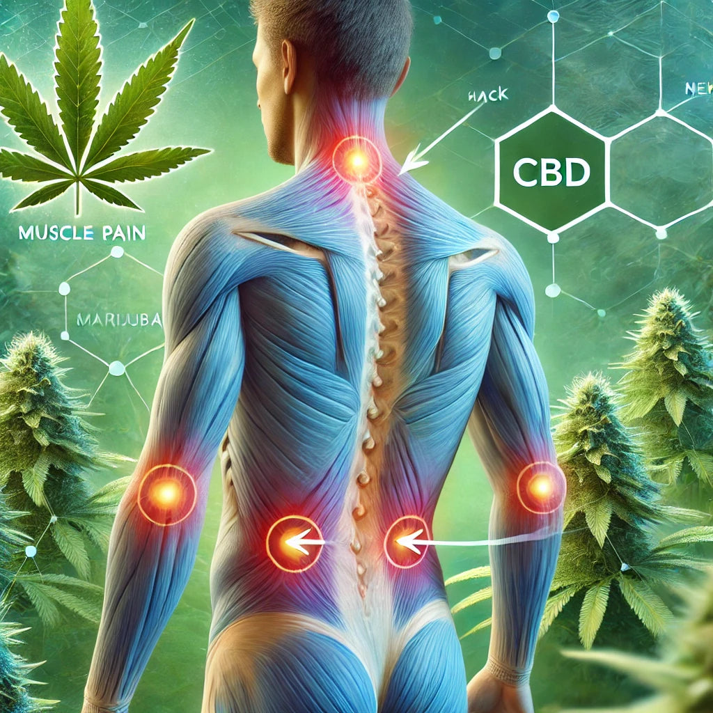 CBD y la Recuperación Muscular